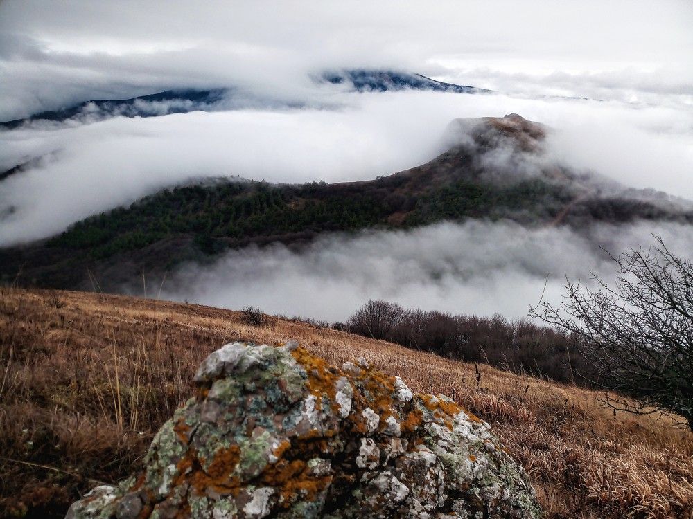 Photograph by Николай Боярин