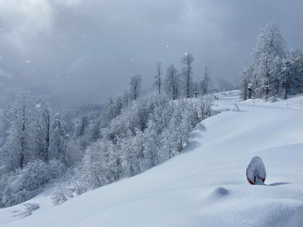 Photograph by Ольга Иванова