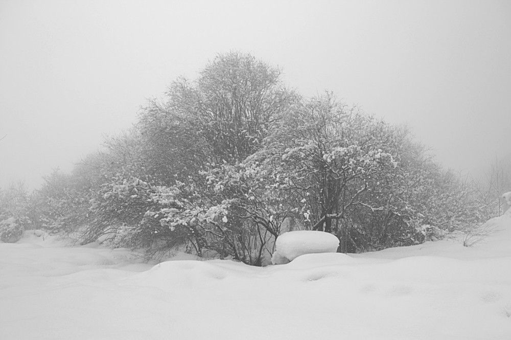 Photograph by Виктор Репников