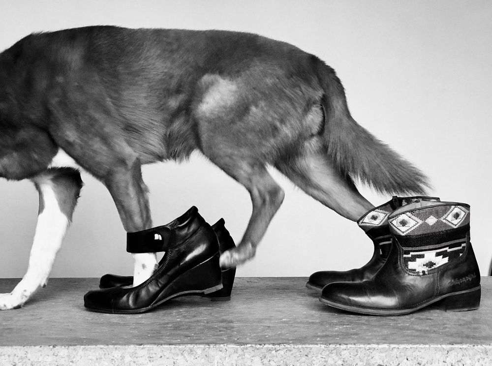 Фотография автора Galina Sa