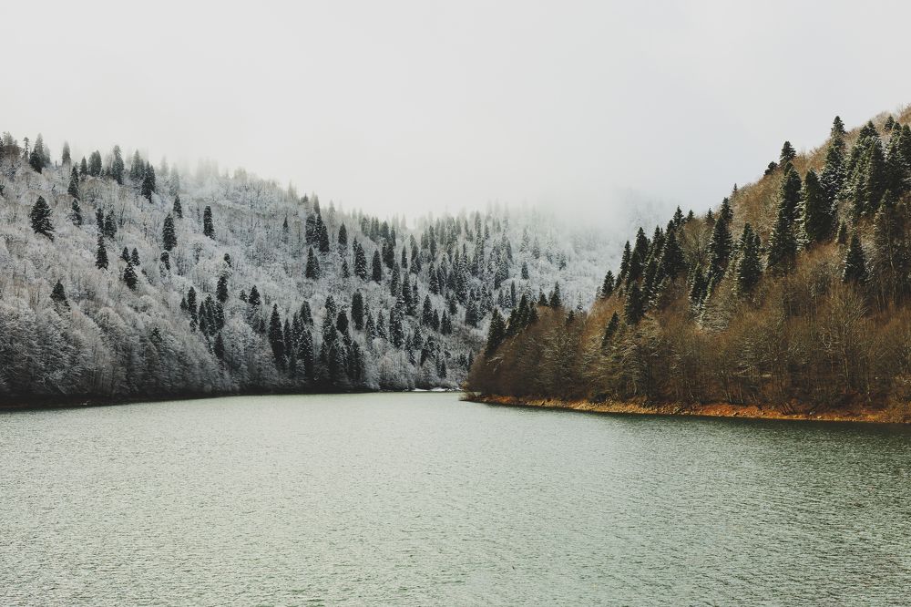 Photograph by Giorgi Begadze