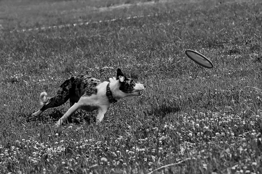 Photograph by Аркадий Ишимов