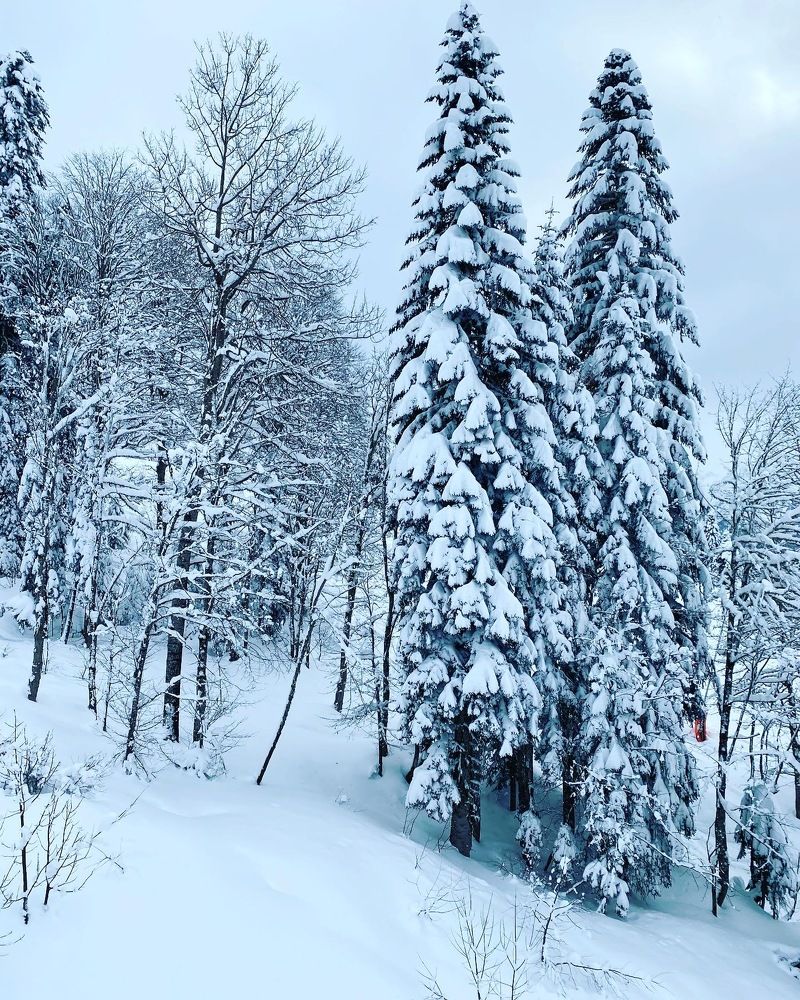 Photograph by Александра Тамбовцева