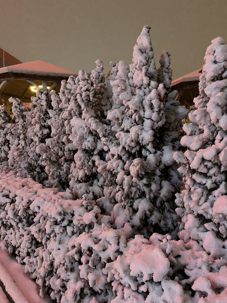 Photograph by Александра Тамбовцева