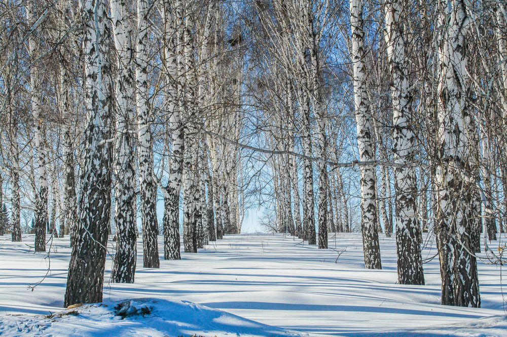 Photograph by Majestic ВКО