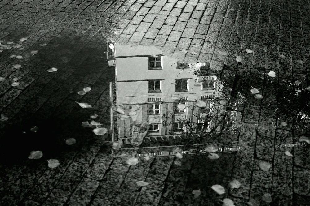 Photograph by natalya