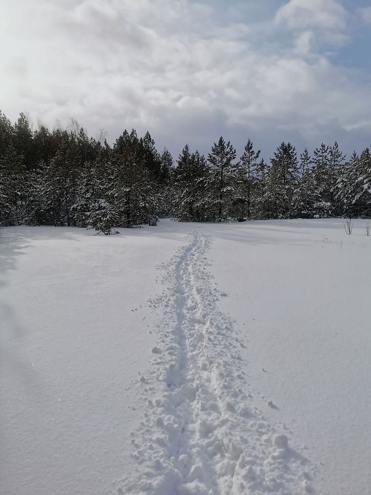 Photograph by Дарья Гомза