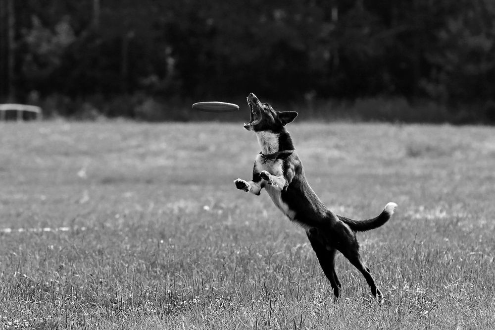 Photograph by Аркадий Ишимов