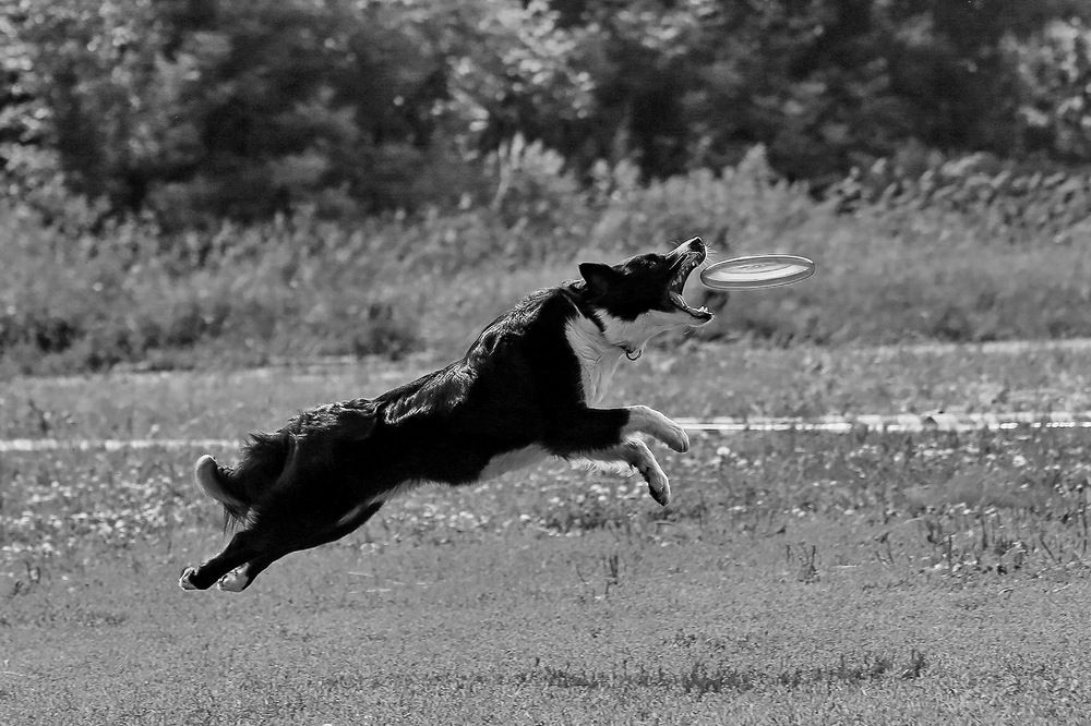 Photograph by Аркадий Ишимов