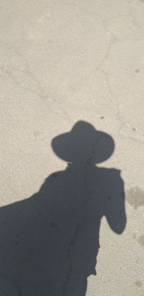 Photograph by Валентина Назина