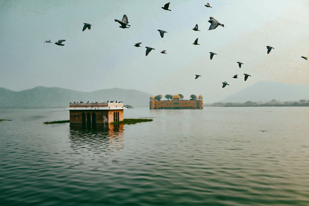 Photograph by Shounak Pal