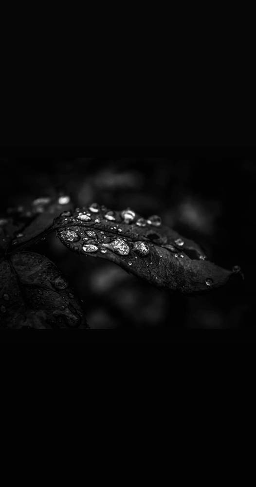 Photograph by Nihar Mane