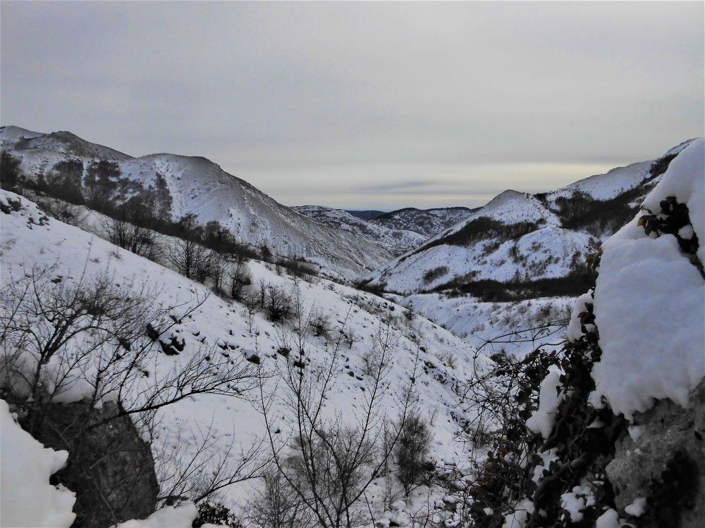 Зеленогорье