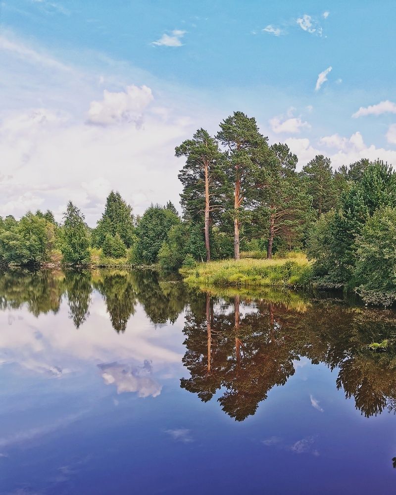 Photograph by Елена Кононенко