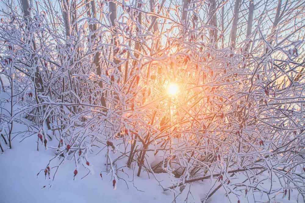 Photograph by миша