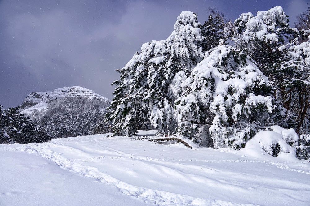 Photograph by Михаил Баевский