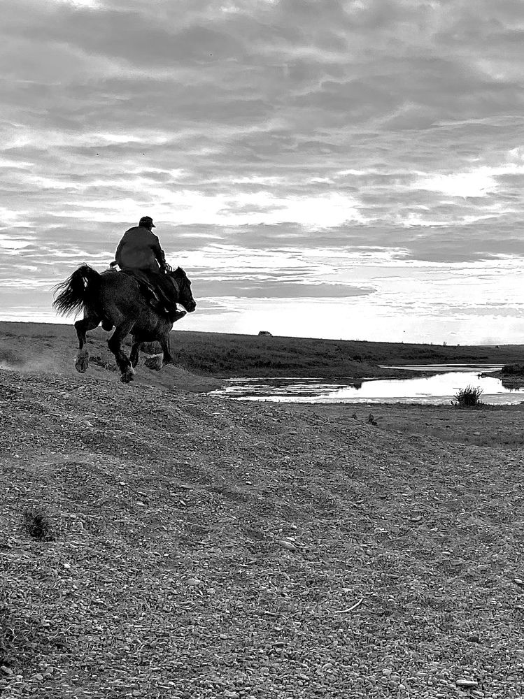 Photograph by Евгения Казакова