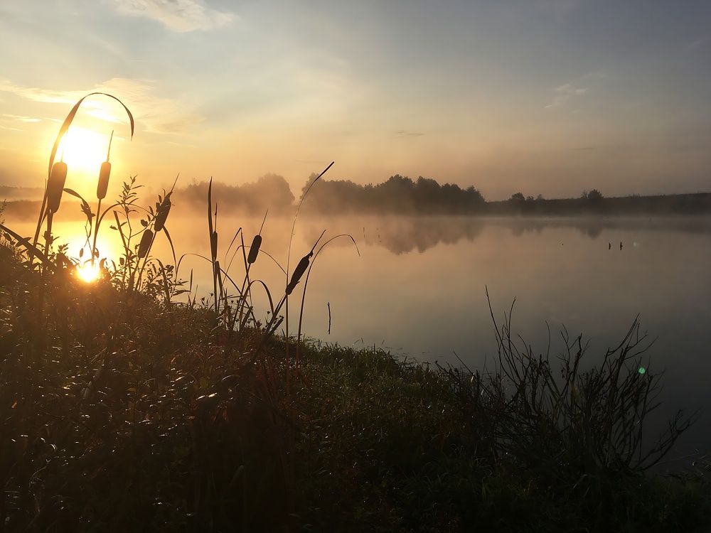 Photograph by Алексей Мороз