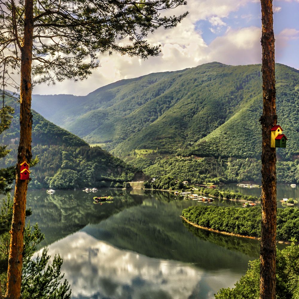 Фотография автора Milena Ivanova