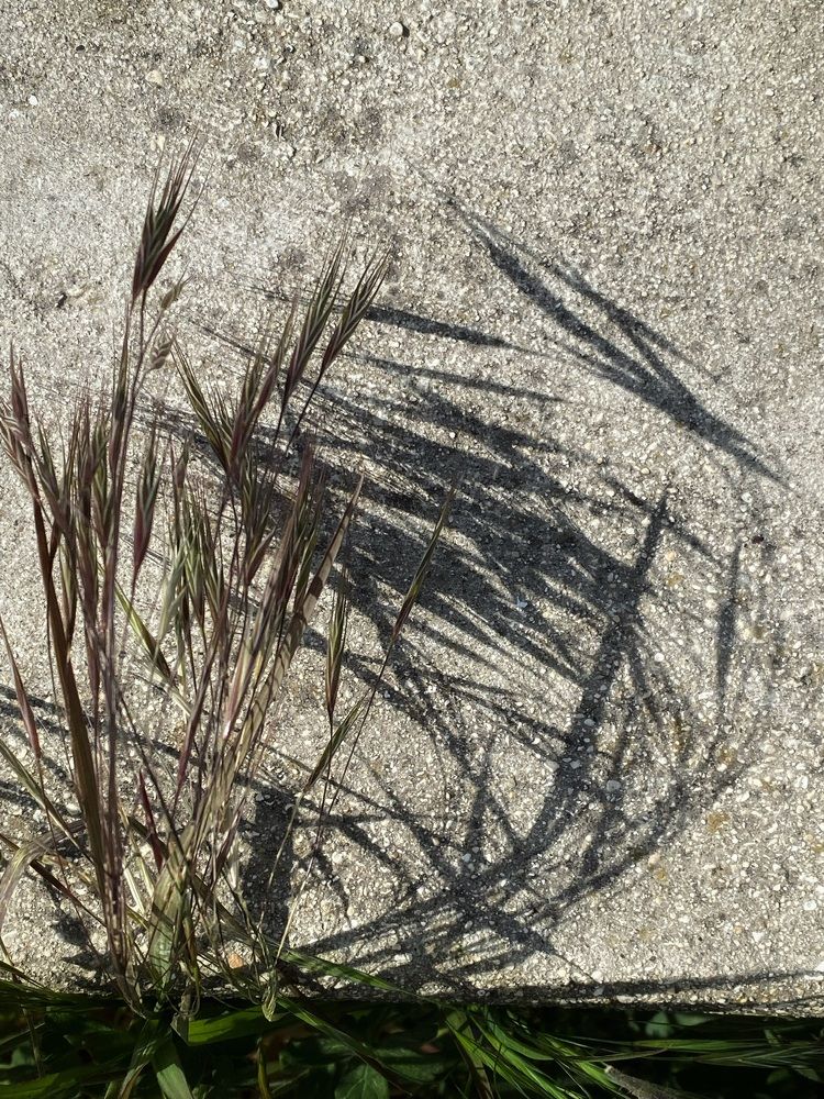 Photograph by Анастасия Куэлляр