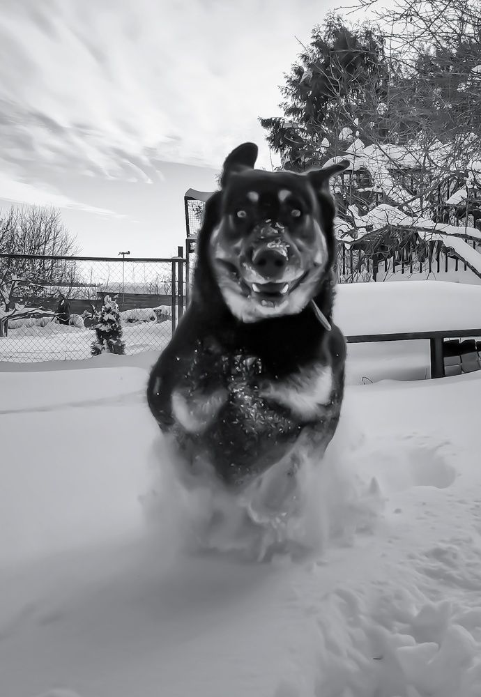 Радуемся снегу!)