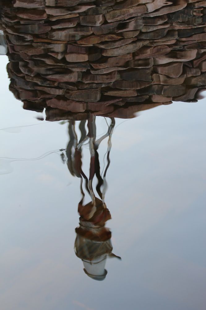 Фотография автора Елена Колосова