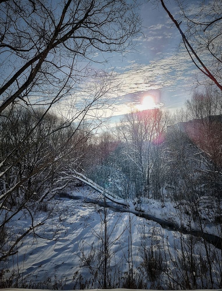 Фотография автора Светлана Алексеева