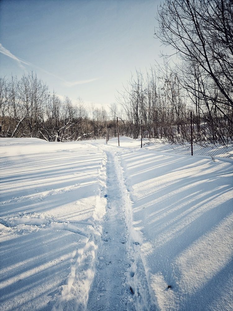 Фотография автора Светлана Алексеева