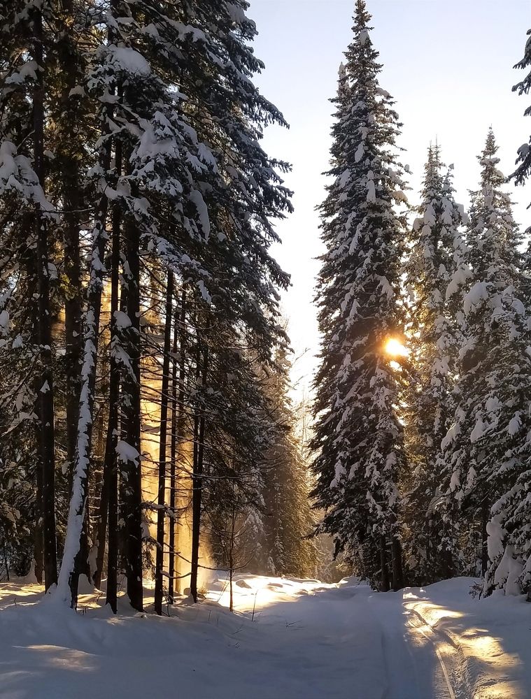 Photograph by Александр Исаченко