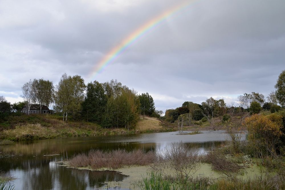 После дождя