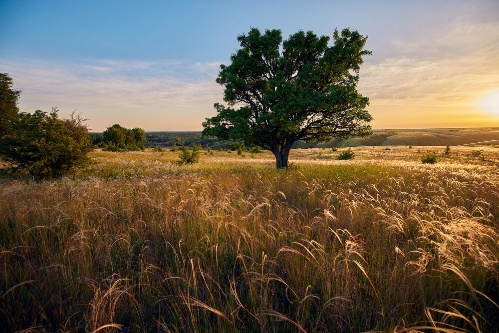 Photograph by Дмитрий Дыбов