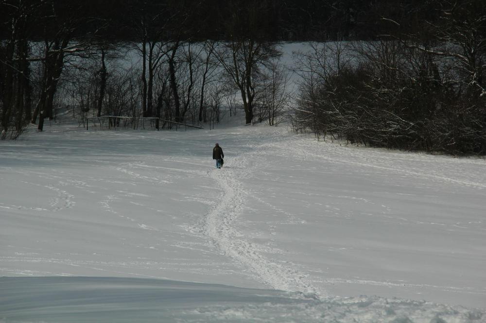 Photograph by marianna chechik