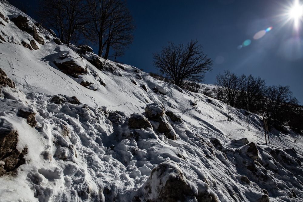 Photograph by marianna chechik