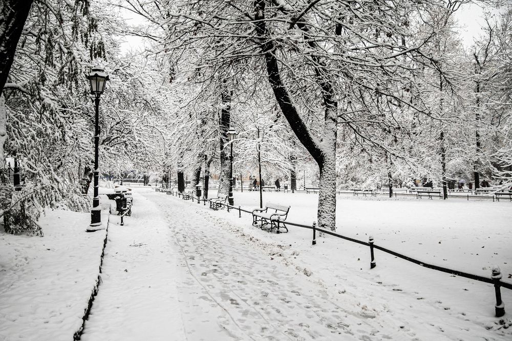 Photograph by marianna chechik