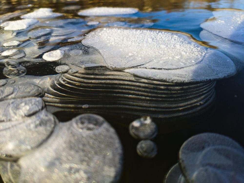 Фотография автора Александр Андреянов