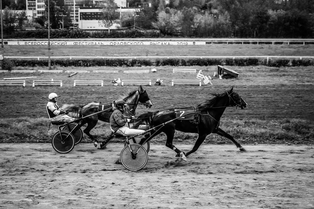 Photograph by Elizaveta