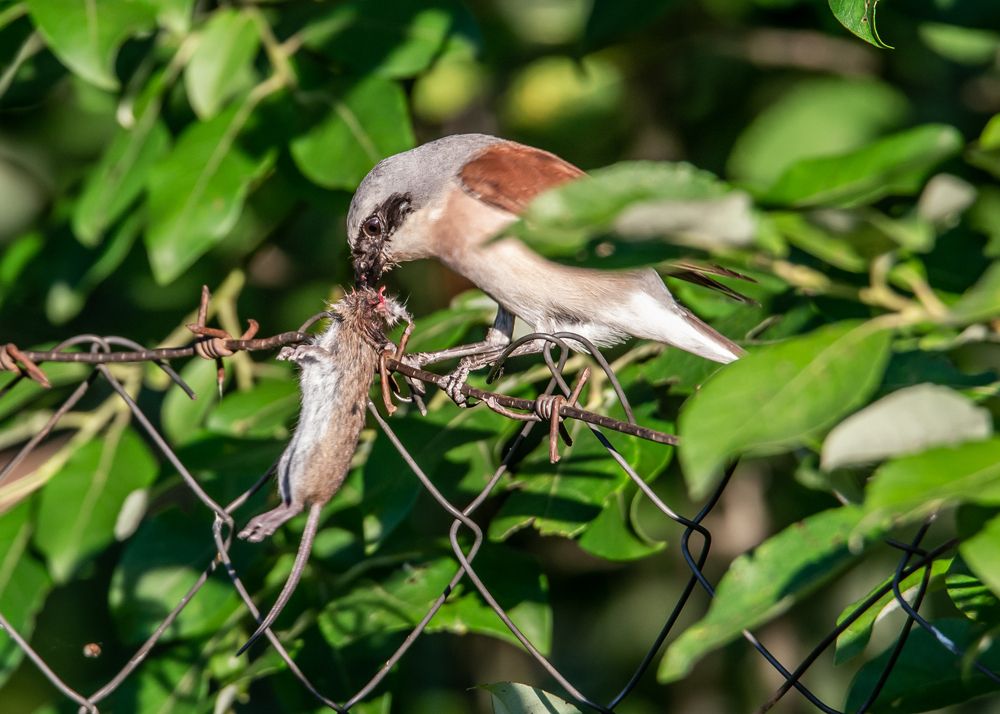 Photograph by Сергей Сыресин