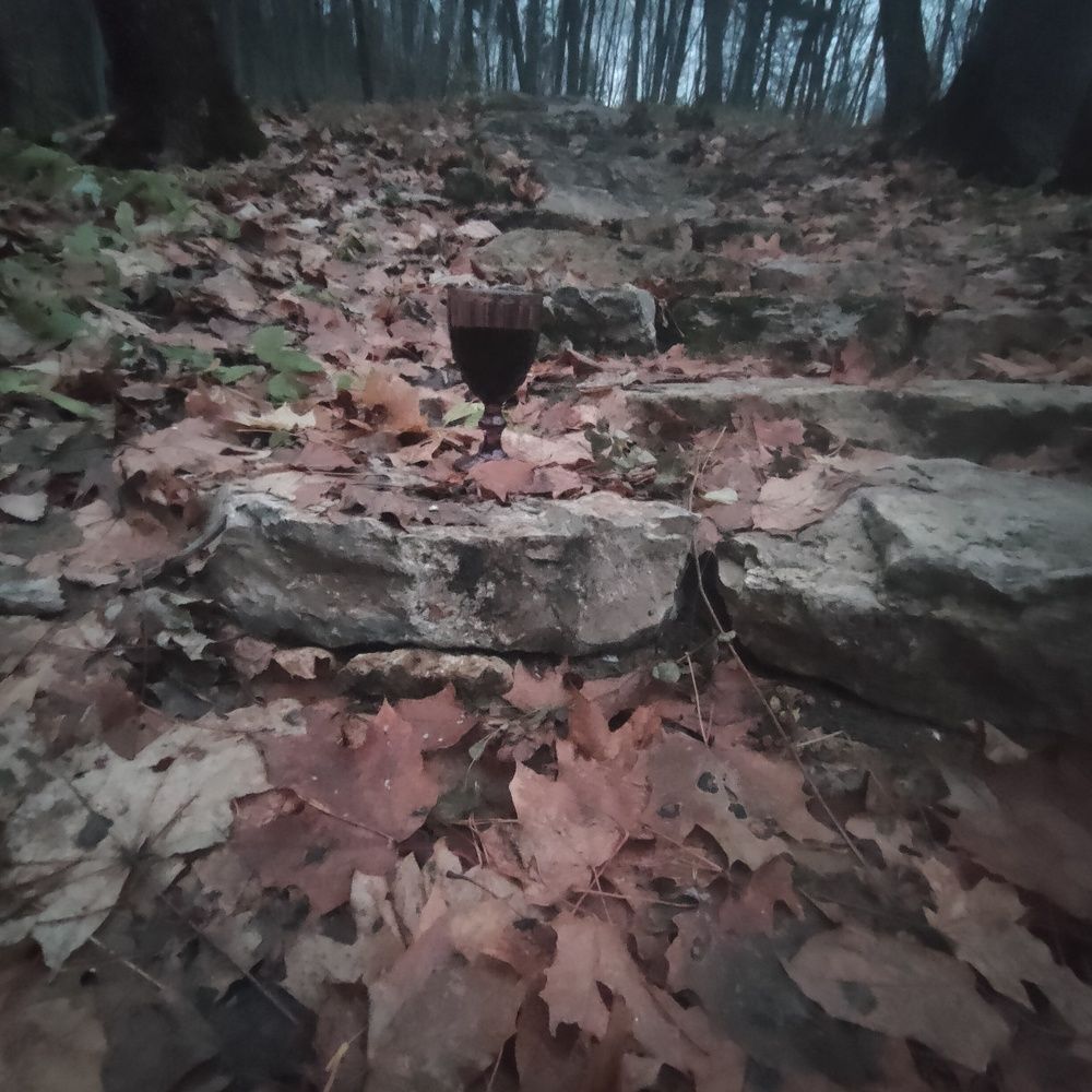 Photograph by Ольга