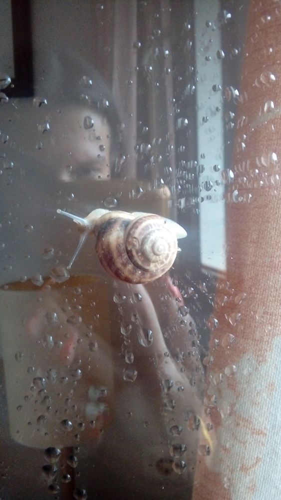 Photograph by Ольга