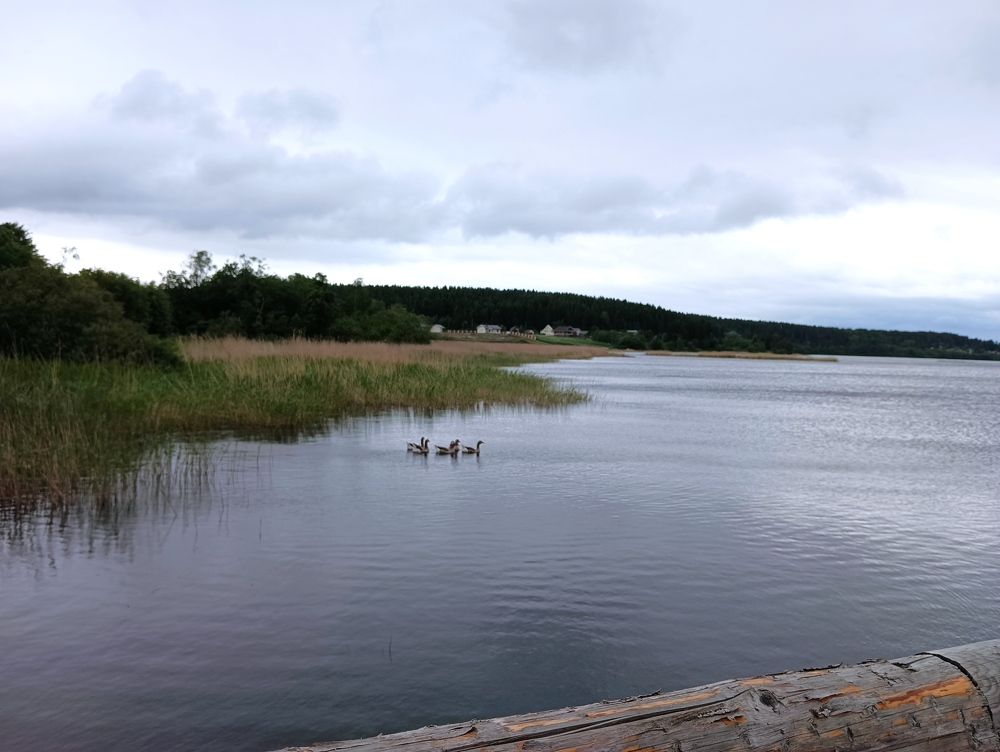 Озеро в Карелии/Lake in Karelia