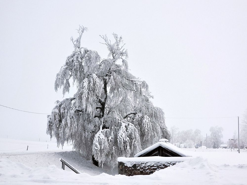 Photograph by Rolandas Valančauskas