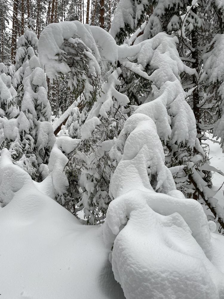 Photograph by Анастасия Родионова