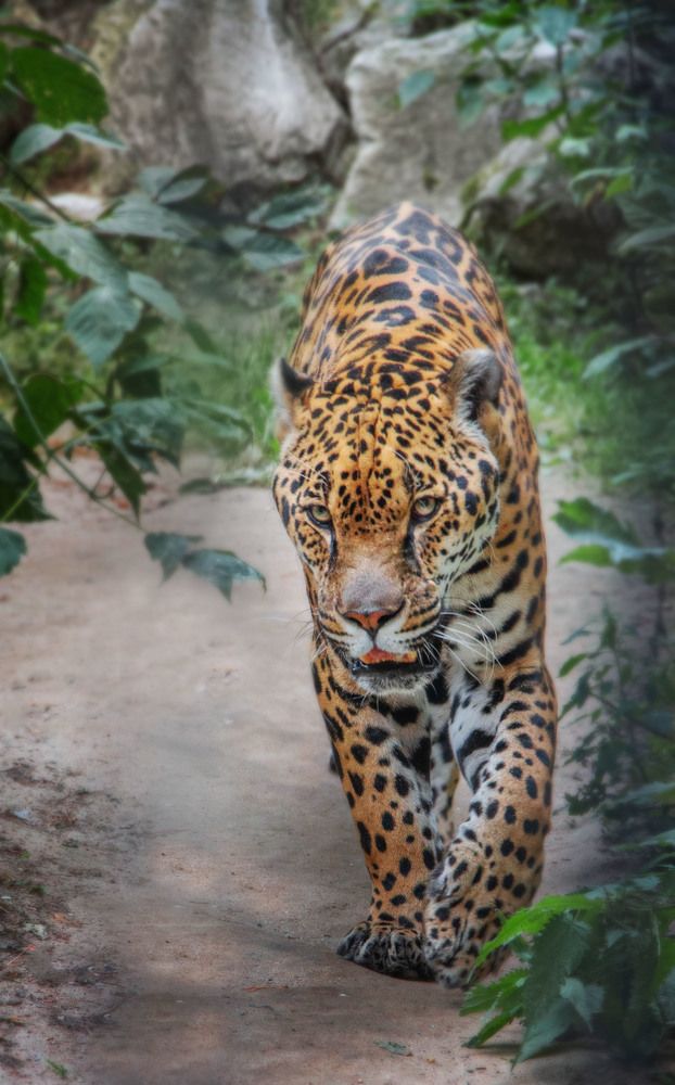 Photograph by Татьяна Ярмак