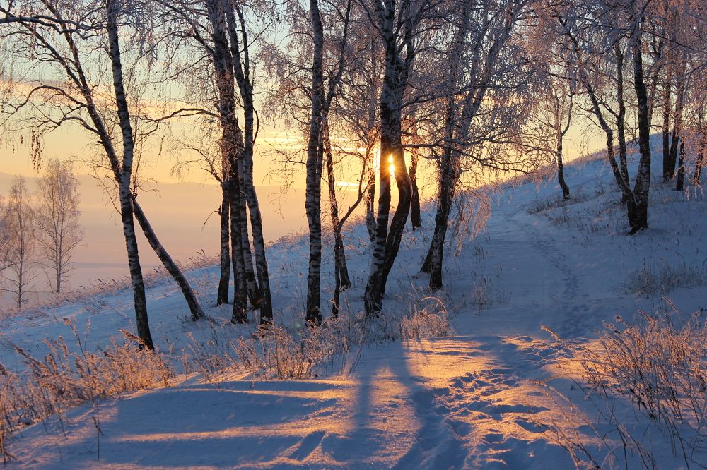 Photograph by Наталья Юрова