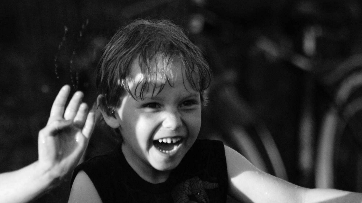 Photo #8537156