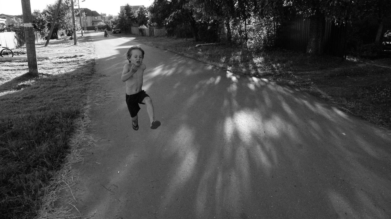 Photo #8537166