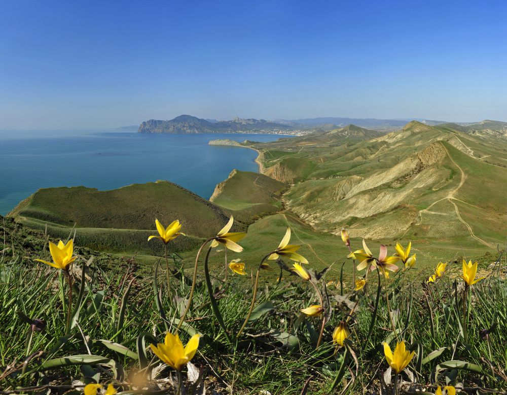 Photograph by Евгений Самулев