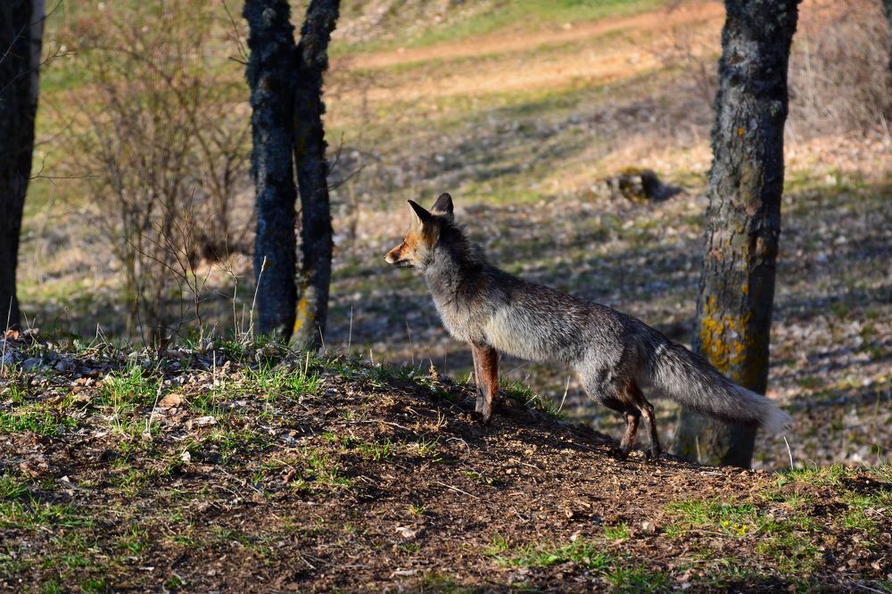 Photograph by Анатолий Орлов
