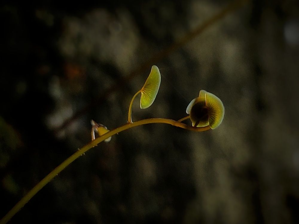 Photograph by Nandi Sharma