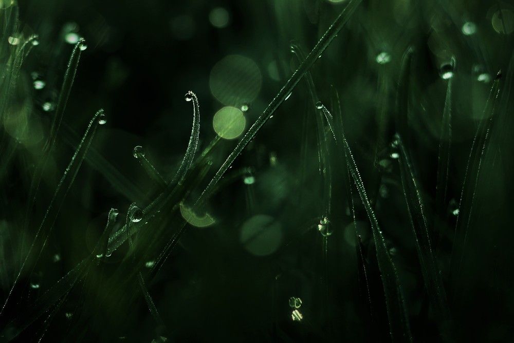 Photograph by Родосская Нонна